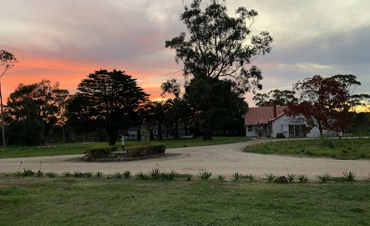 The Village, multi-use area at Cornwall Park, image 6