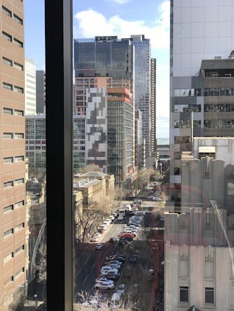 2 private offices with views of Flagstaff Gardens plus space for two desks in open plan shared space, private office at 250 Queen Street, image 1