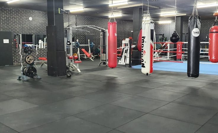 Weights & Cardio. Boxing ring & boxing Bags, multi-use area at Darkside Gym, image 1