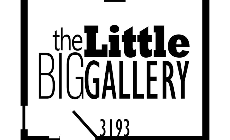 Little BIG Gallery, gallery at THE LITTLE BIG GALLERY, image 1