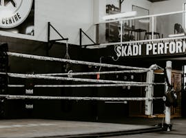 Training room at Skadi Performance, image 1