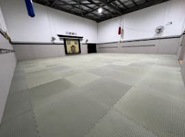 Sports Training Room, multi-use area at Taekidokai Martial Arts, image 1