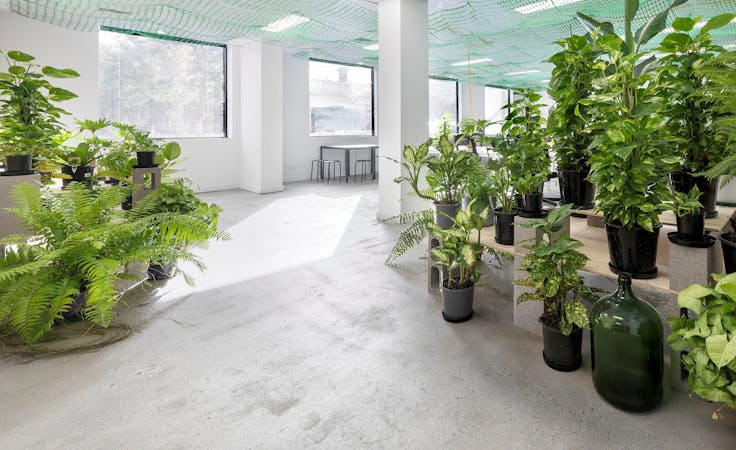 Co-work in a naturally-lit, plant-filled office environment, image 1