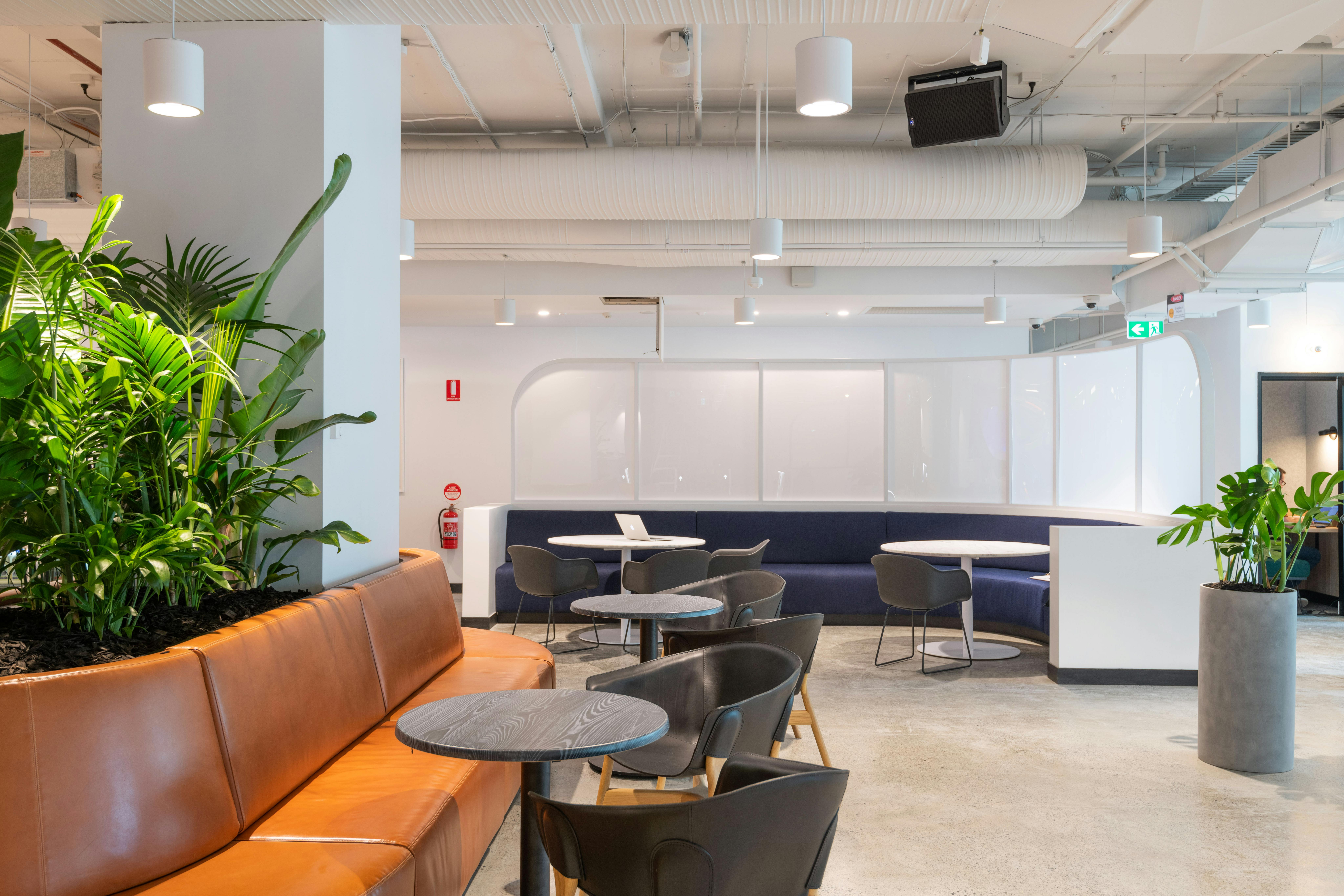 Private office at WeWork 310 Edward Street 2 Person Office Spacely