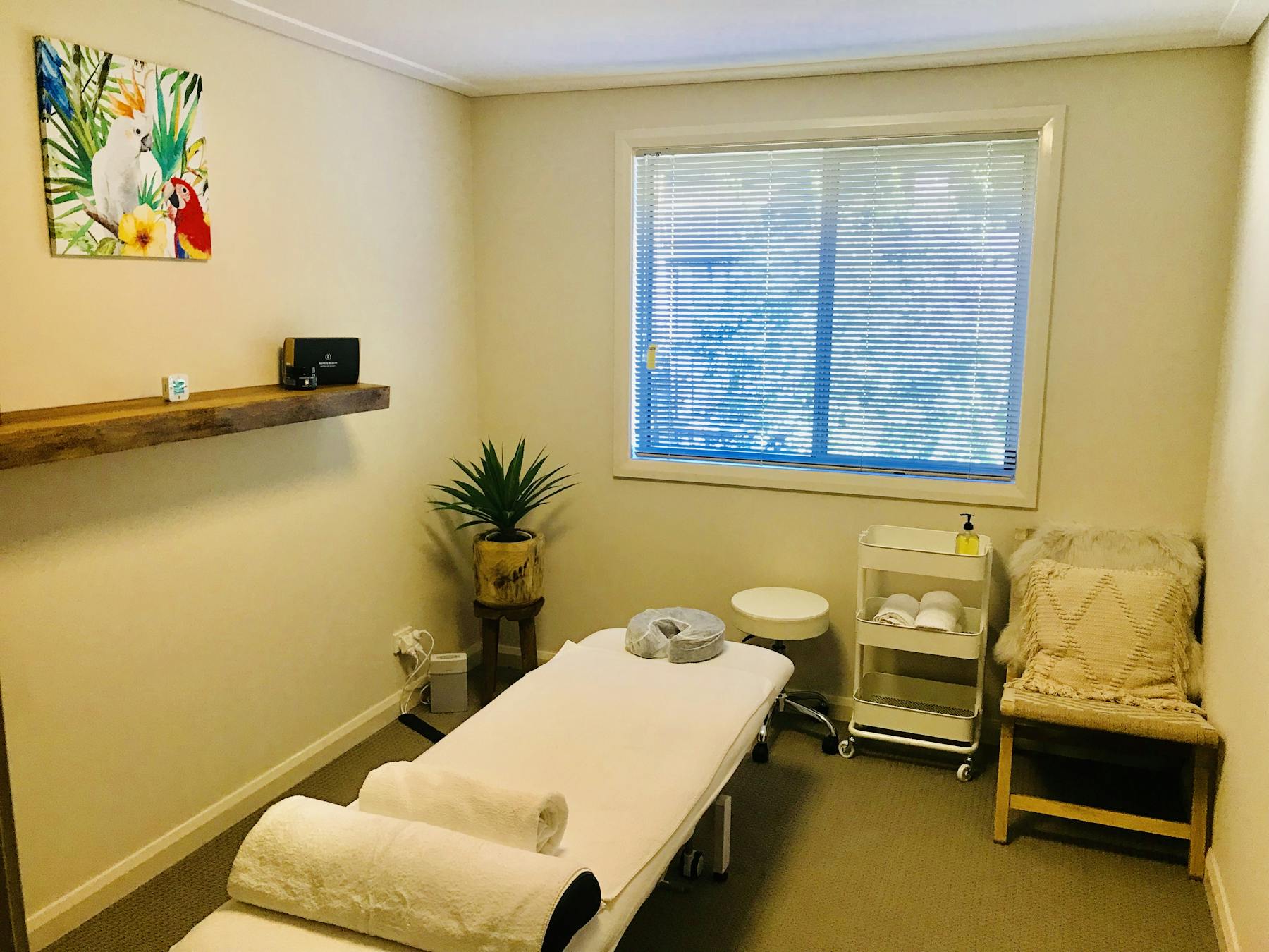Private Office At Revive Therapies Massagephysio Therapy Room For