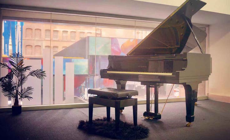 The Concert Room- Music Room at Hub Bravissimo, image 1